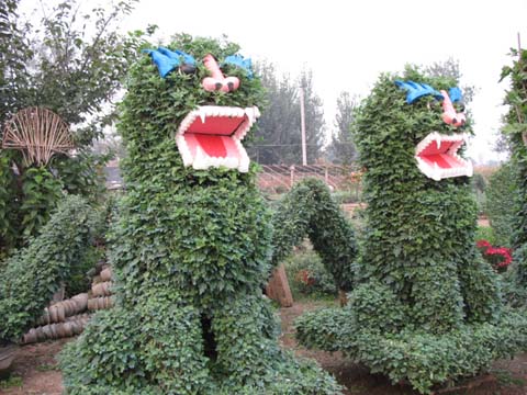 ?開(kāi)封前方園藝——菊花造型現(xiàn)貨供應(yīng)